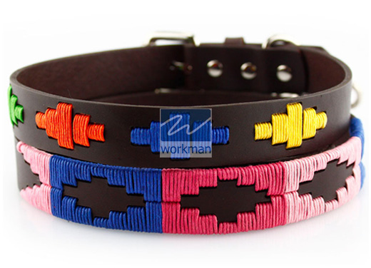 Polo Dog Collar