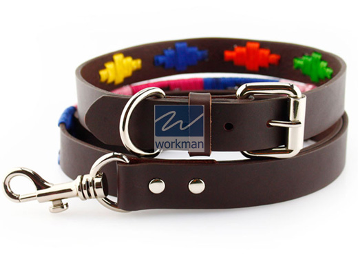 Polo Dog Collar