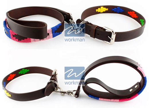 Polo Dog Collar