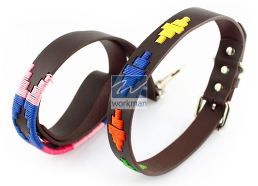 Polo Dog Collar