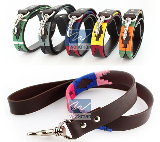 Polo Dog Collar